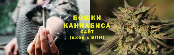 PSILOCYBIN Абаза