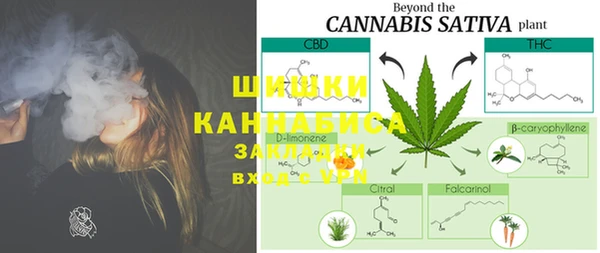 PSILOCYBIN Абаза