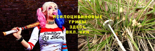 PSILOCYBIN Абаза